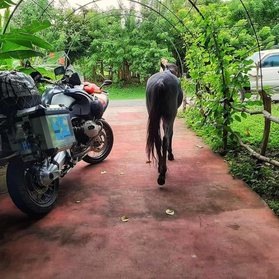 Hostel Life Is Good Moyogalpa Bagian luar foto